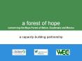 a forest of hope conserving the Maya Forest of Belize, Guatemala and Mexico PowerPoint PPT Presentation