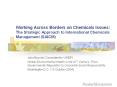 Working Across Borders on Chemicals Issues: The Strategic Approach to International Chemicals Management (SAICM) PowerPoint PPT Presentation