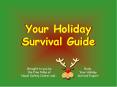 Make the Holiday Season Fun and Safe PowerPoint PPT Presentation