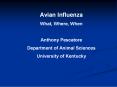 Avian Influenza PowerPoint PPT Presentation