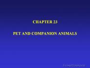 PET AND COMPANION ANIMALS