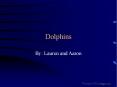 Dolphins PowerPoint PPT Presentation