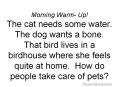 Morning Warm- Up! The cat needs some water. The dog wants a bone. That bird lives in a birdhouse where she feels quite at home. How do people take care of pets? PowerPoint PPT Presentation