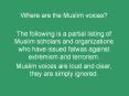 Where are the Muslim voices? PowerPoint PPT Presentation