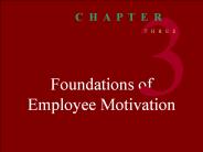 Foundations of Employee Motivation