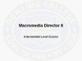 Macromedia Director 8 PowerPoint PPT Presentation