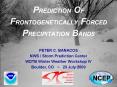PREDICTION OF FRONTOGENETICALLY FORCED PRECIPITATION BANDS PowerPoint PPT Presentation