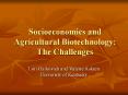Socioeconomics and Agricultural Biotechnology: The Challenges PowerPoint PPT Presentation