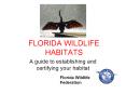 FLORIDA WILDLIFE HABITATS PowerPoint PPT Presentation