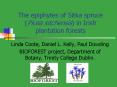 The epiphytes of Sitka spruce Picea sitchensis in Irish plantation forests PowerPoint PPT Presentation