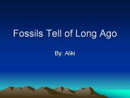 Fossils%20Tell%20of%20Long%20Ago