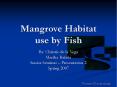 Mangrove Habitat use by Fish PowerPoint PPT Presentation