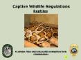 Captive Wildlife Regulations PowerPoint PPT Presentation