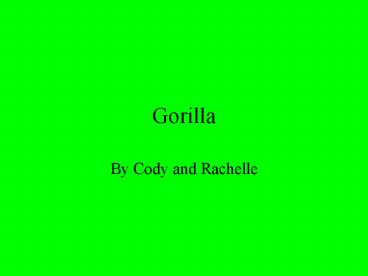 Gorilla
