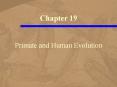 Primate and Human Evolution PowerPoint PPT Presentation