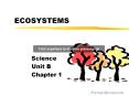 ECOSYSTEMS PowerPoint PPT Presentation