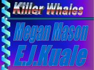 Killer Whales