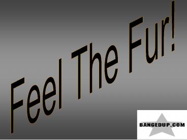 PowerPointpresentatie