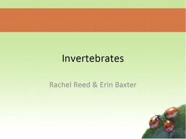 Invertebrates