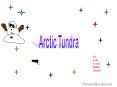 Arctic Tundra PowerPoint PPT Presentation