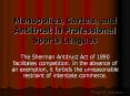 Monopolies, Cartels, and Antitrust in Professional Sports Leagues PowerPoint PPT Presentation