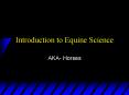 Introduction to Equine Science PowerPoint PPT Presentation