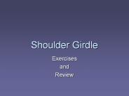 Shoulder Girdle