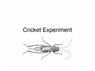 Cricket Experiment