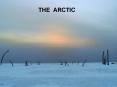 ARCTIC PowerPoint PPT Presentation
