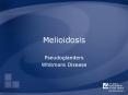 Melioidosis PowerPoint PPT Presentation