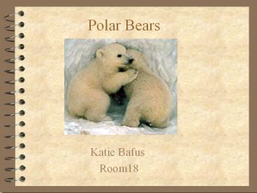 Polar Bears