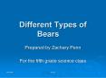 Different Types of Bears PowerPoint PPT Presentation