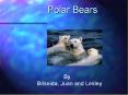 Polar Bears PowerPoint PPT Presentation