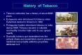 Tobacco cultivation has a history of about 8000 years. PowerPoint PPT Presentation
