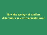How the ecology of conifers determines an environmental issue