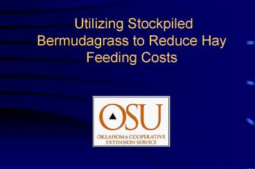 Utilizing Stockpiled Bermudagrass to Reduce Hay Feeding Costs