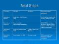 Next Steps PowerPoint PPT Presentation