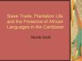 Slave Trade, Plantation Life and the Presence of African Languages in the Caribbean PowerPoint PPT Presentation