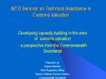 WTO Seminar on Technical Assistance in Customs Valuation PowerPoint PPT Presentation
