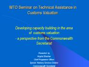 WTO Seminar on Technical Assistance in Customs Valuation