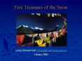 Five Treasures of the Snow PowerPoint PPT Presentation