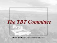 The TBT Committee