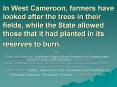 In West Cameroon, farmers have looked after the trees in their fields, while the State allowed those PowerPoint PPT Presentation