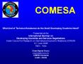 COMESA PowerPoint PPT Presentation