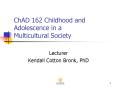 ChAD 162 Childhood and Adolescence in a Multicultural Society PowerPoint PPT Presentation