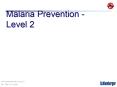 Malaria Prevention Level 2 PowerPoint PPT Presentation