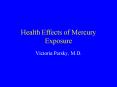 Health Effects of Mercury Exposure PowerPoint PPT Presentation