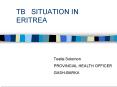 TB SITUATION IN ERITREA PowerPoint PPT Presentation