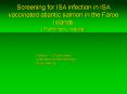 Screening for ISA infection in ISA vaccinated atlantic salmon in the Faroe Islands PowerPoint PPT Presentation