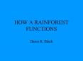 HOW A RAINFOREST FUNCTIONS PowerPoint PPT Presentation
